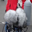 Ambisonics Microfones